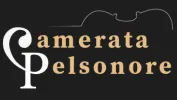 Camerata Pelsonore logo